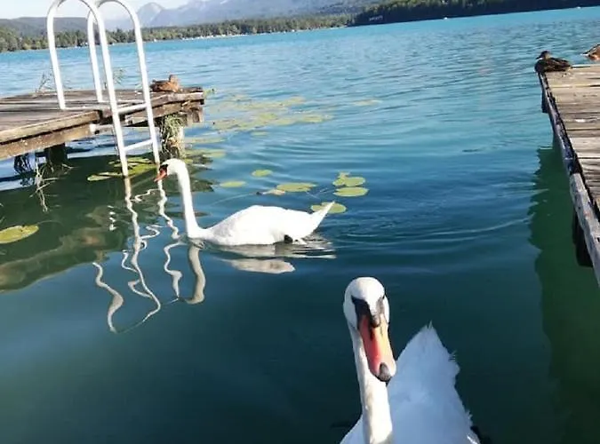 Schoenruh 4* Drobollach am Faaker See